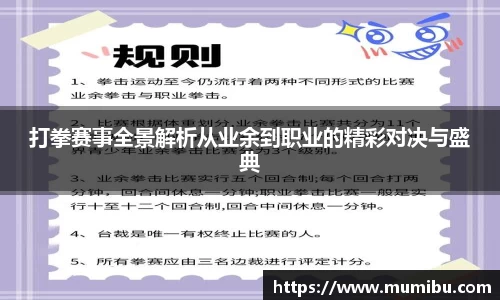 打拳赛事全景解析从业余到职业的精彩对决与盛典
