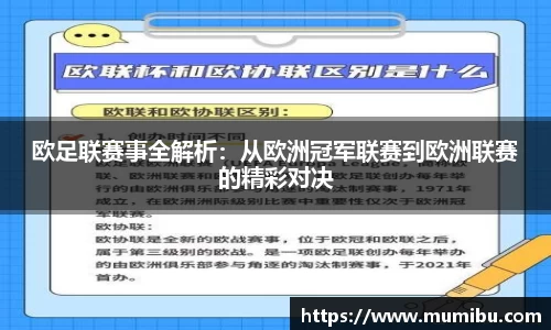 欧足联赛事全解析：从欧洲冠军联赛到欧洲联赛的精彩对决
