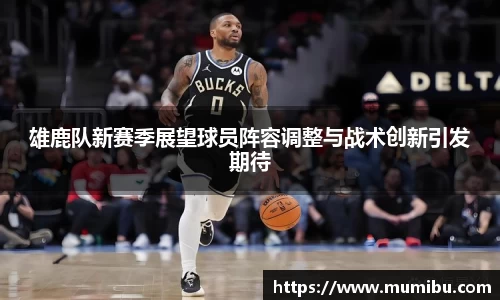 雄鹿队新赛季展望球员阵容调整与战术创新引发期待
