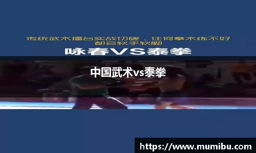 中国武术vs泰拳