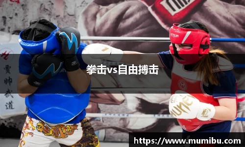 拳击vs自由搏击