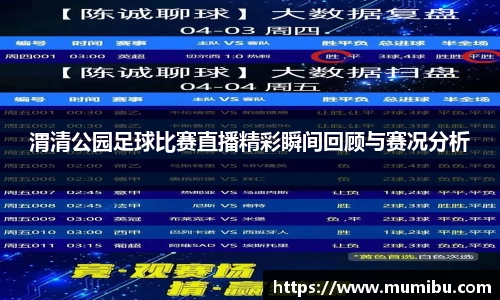 渭清公园足球比赛直播精彩瞬间回顾与赛况分析